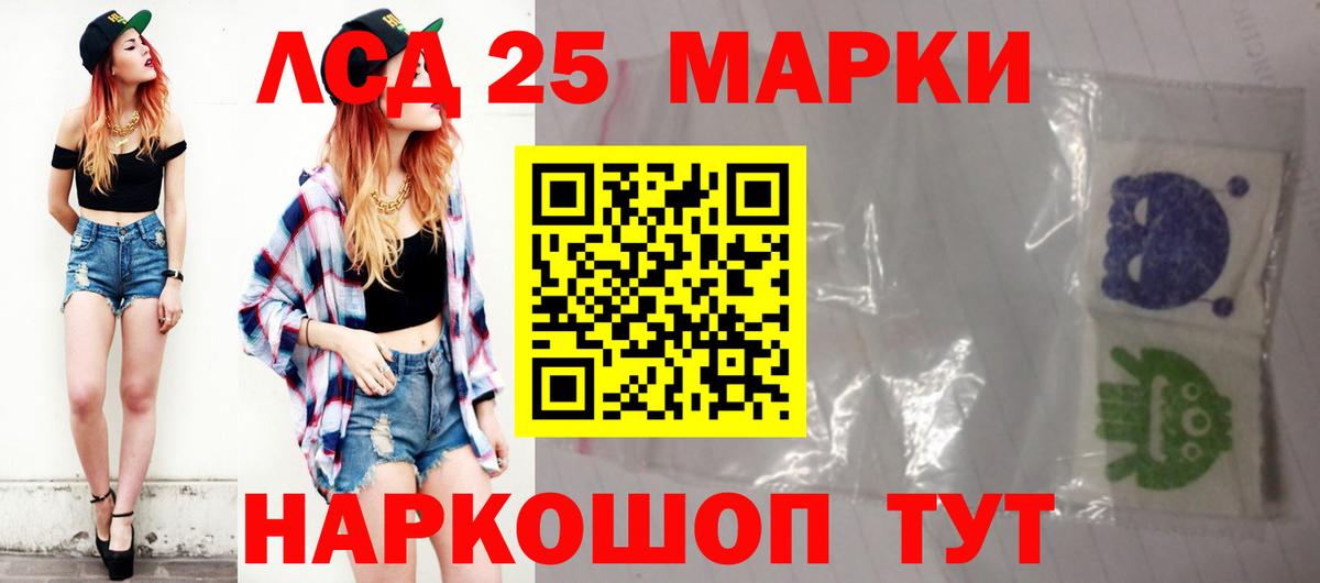 A PVP Щёкино