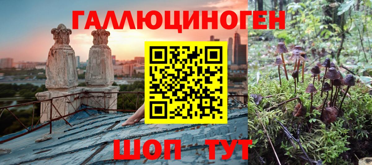 закладки  Вход с VPN  Щёкино  Галлюциногенные грибы Magic Shrooms 